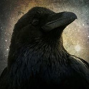 Christopher Walker's photo