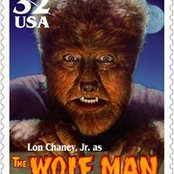 Wolfie bs billede
