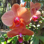 Kathleen Moore's photo