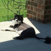 Becky Elliott's photo