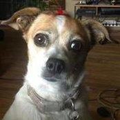 Julie Williams's photo