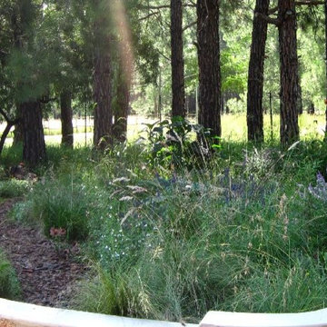 Prairie Style Country Garden