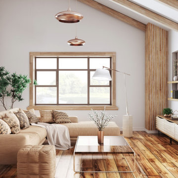 Hunter Douglas Dealer