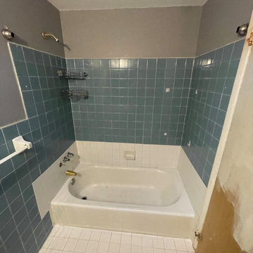 5x8 bathroom enlarged for custom oversized shower