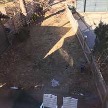 backyard landscaping