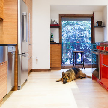The Mid-Century Great Room