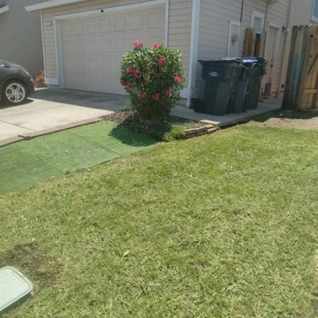 Professional Landscape Maintenance & Yard Care