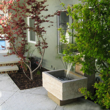 Contemporary Landscaping | Freeform Pool