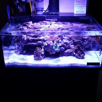 Free Standing Aquariums