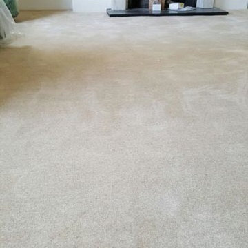 Natural Elements Carpet Installed to Areas