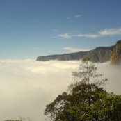 Foto von thaha Ibrahim