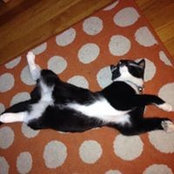 Bret Gerlach's photo
