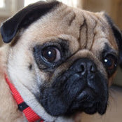 Marsha Tomko's photo