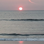 Laura S's photo