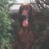Foto von Pam Sommers