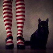 Lisa Garland Runge's photo