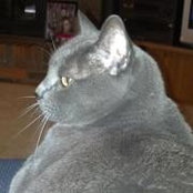 Mark Ebeling's photo