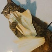 Foto von Jessi Charles