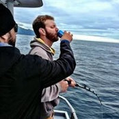 Mark Gannet's photo