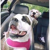 Tara Deorocki Aresco's photo