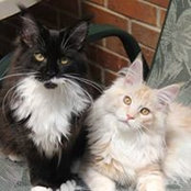 Rita Berg's photo