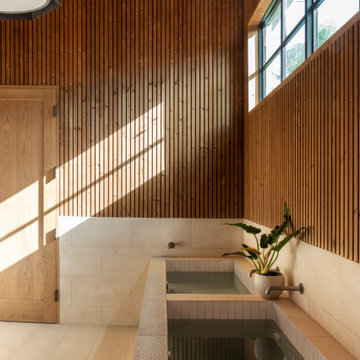 West Austin Recovery Room with Teak and Limestone