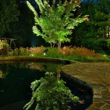 Luxury Pool With Waterfall