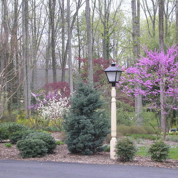 Traditional Landscape