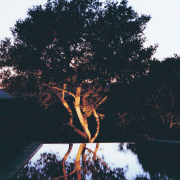 Water Feature