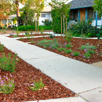 West Los Angeles Lawn Removal Makeover
