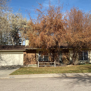 Burnt Sienna, Arctic Fox Dr., Fort Collins