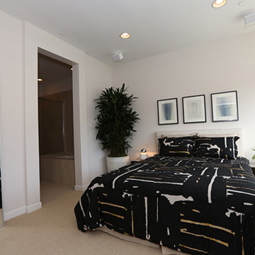 Warmington Residential: NELA Union - Plan 4 Master Bedroom
