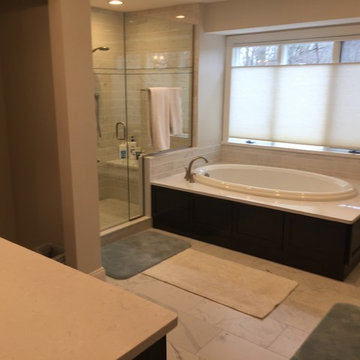 Master Bathroom Remodel