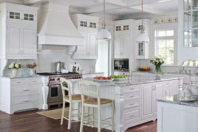 Kitchen - large traditional dark wood floor and brown floor kitchen idea in Other with a farmhouse sink, raised-panel cabinets, white cabinets, quartz countertops, white backsplash, ceramic backsplash, stainless steel appliances and an island