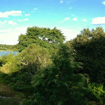 Coastal Rhode Island Garden: Salt Pond Friendly