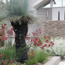 Native Garden