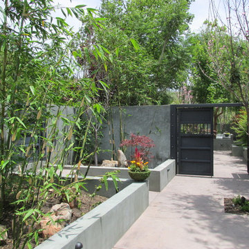 The Asian Garden