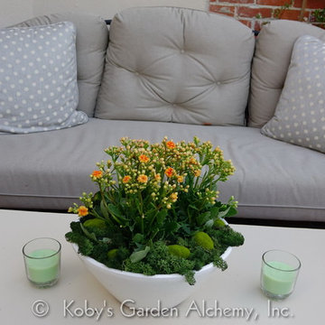 CONATAINER GARDENS BRING LIFE TO PLAIN PAITO, La Jolla, California