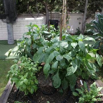 Carlsbad Juicing Garden