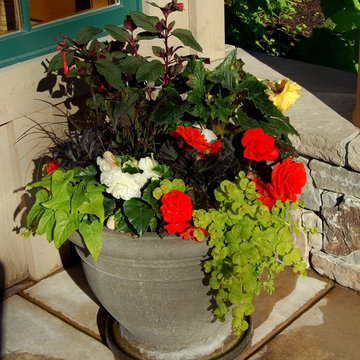 Annual planters