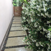 Landscape Ideas