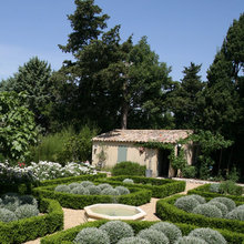 Backyard Garden