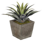 House of Silk Flowers, Inc. - Artificial Star Succulent in Grey-Washed Wood Cube - This contemporary artificial star succulent is handcrafted by House of Silk Flowers. This plant will complement any decor, whether in your home or at the office. A professionally-arranged star succulent is securely "potted" in a grey-washed wood cube pot (6" x 6" x 5 1/2" tall). It is arranged for 360-degree viewing. The overall dimensions are measured leaf tip to leaf tip, bottom of planter to tallest leaf tip: 12" tall x 12" diameter. Measurements are approximate, and will be determined by your final shaping of the plant upon unpacking it. No arranging is necessary, only minor shaping, with the way in which we package and ship our products. This item is only recommended for indoor use.