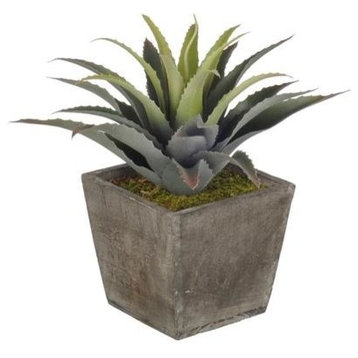 Artificial Star Succulent in Grey-Washed Wood Cube