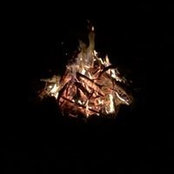 Amanda Maguire's photo
