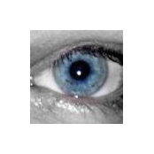 Nicole Fedor-Troiso's photo