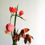 Vincent Jacques's photo