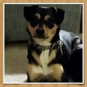Sarah Resler Boe's photo