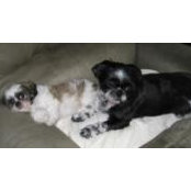 Alan Adams's photo