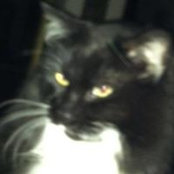 Cindy Parish's photo